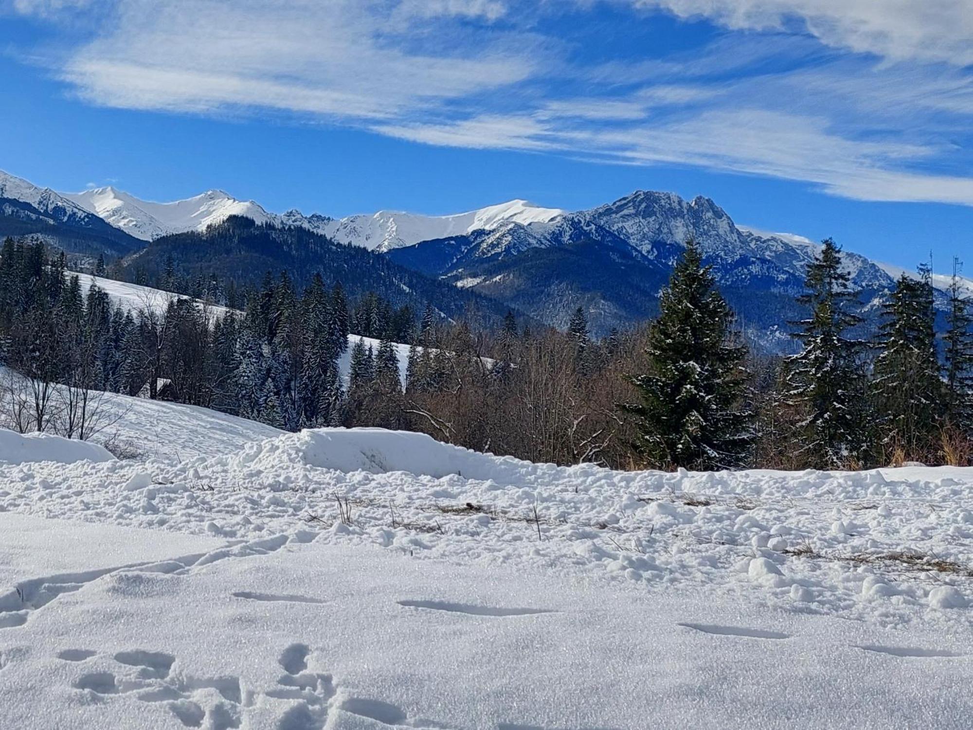 Tatrzanska Polana - Tatra Mountain View, Free Parking & Wifi — Photos 3
